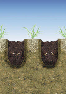 Semis de perforation - semer une pelouse - planter du gazon
